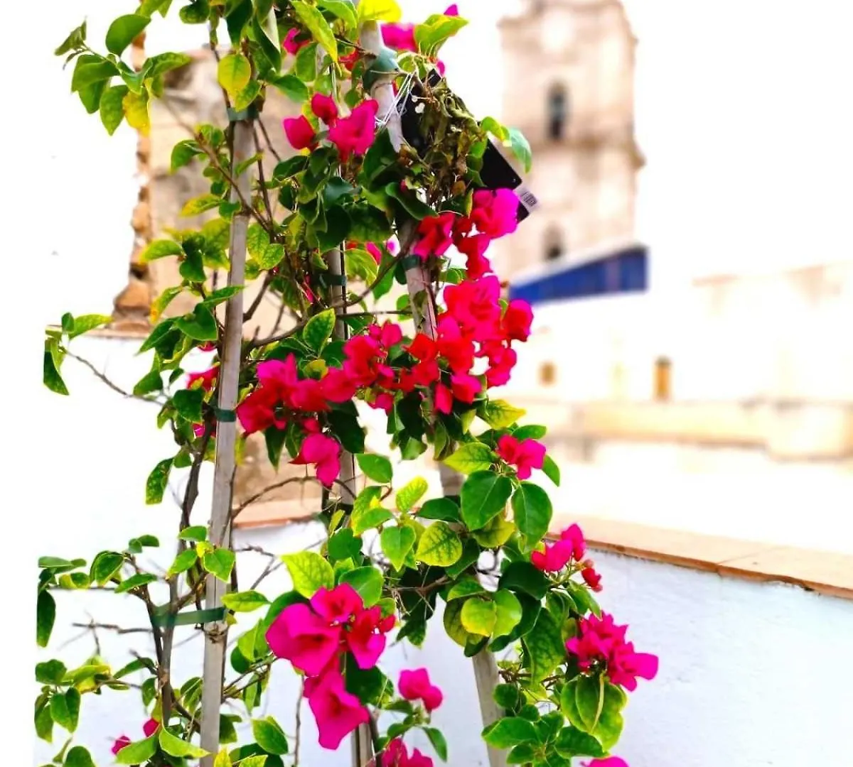 Apartamentos Larios Málaga 0*,  Spanien
