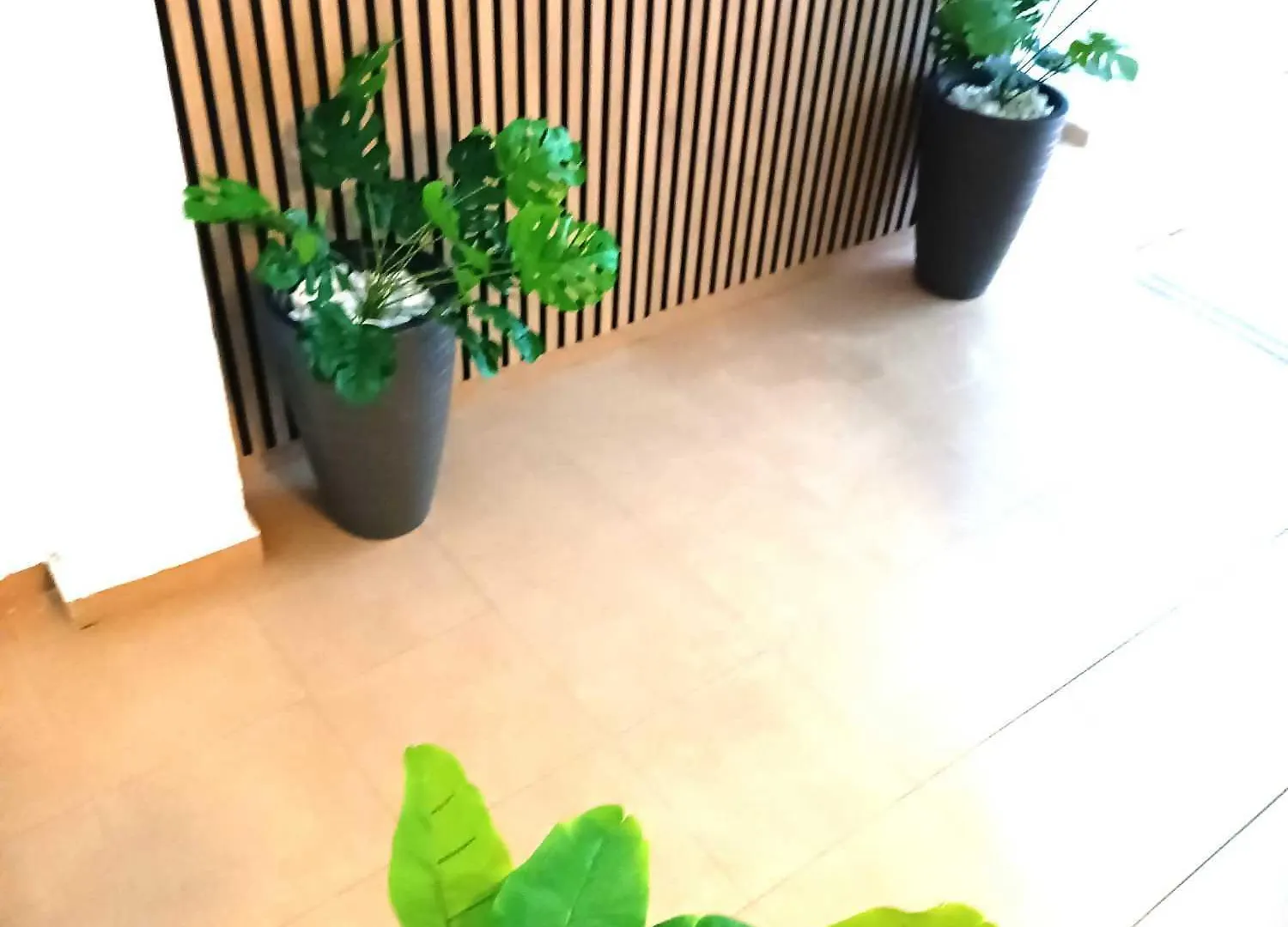 Apartamentos Larios Malaga Apartment