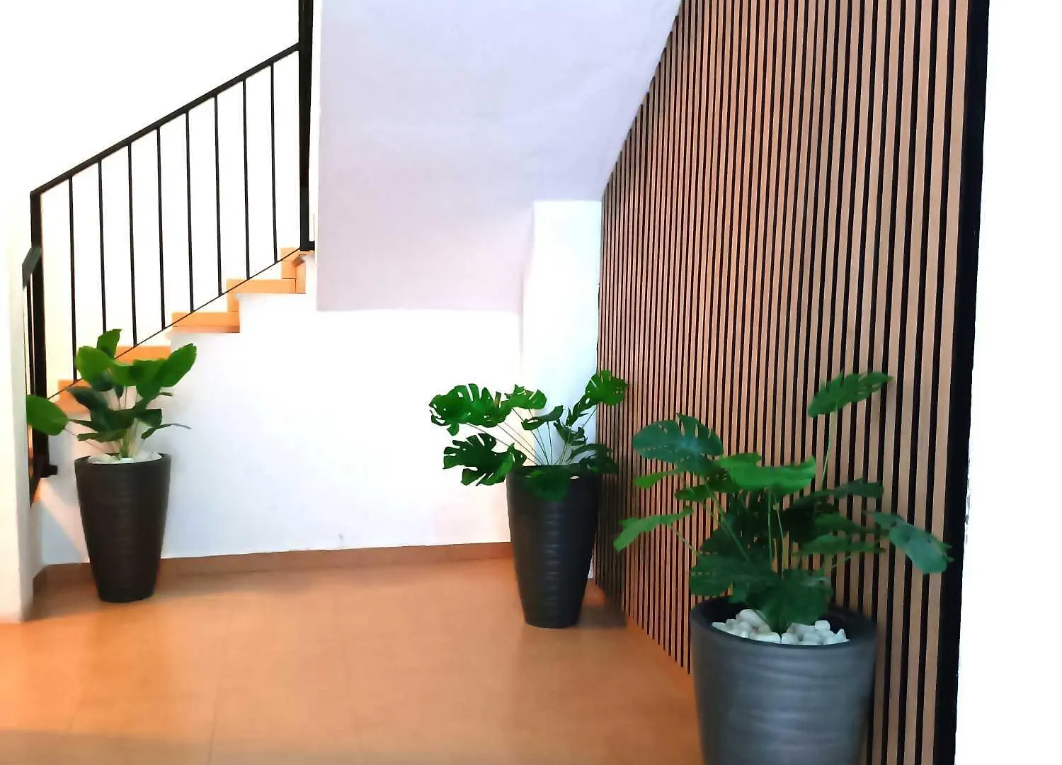 Apartamentos Larios Malaga
